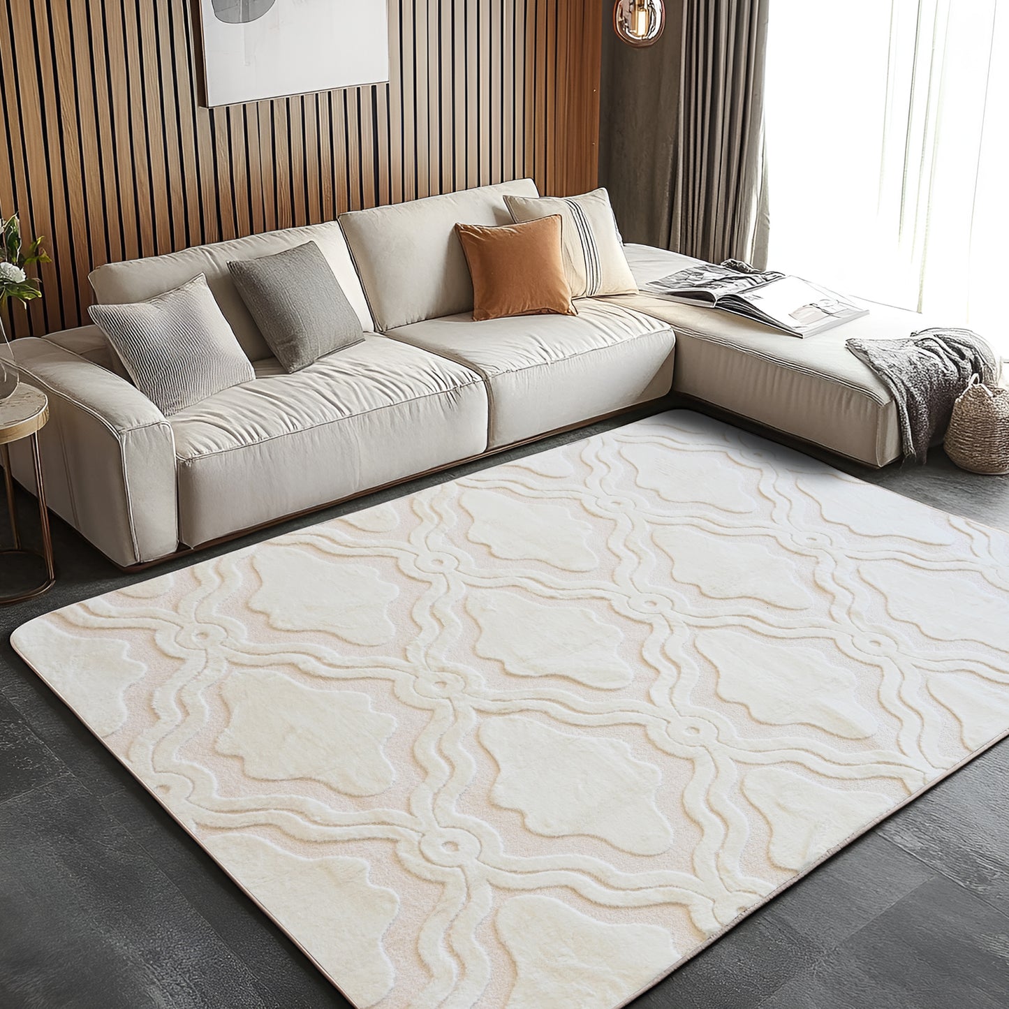 5ft x 8ft Shaggy Area Rugs for Bedroom, Modern Geometric Fluffy Living Room Carpet, Beige & White