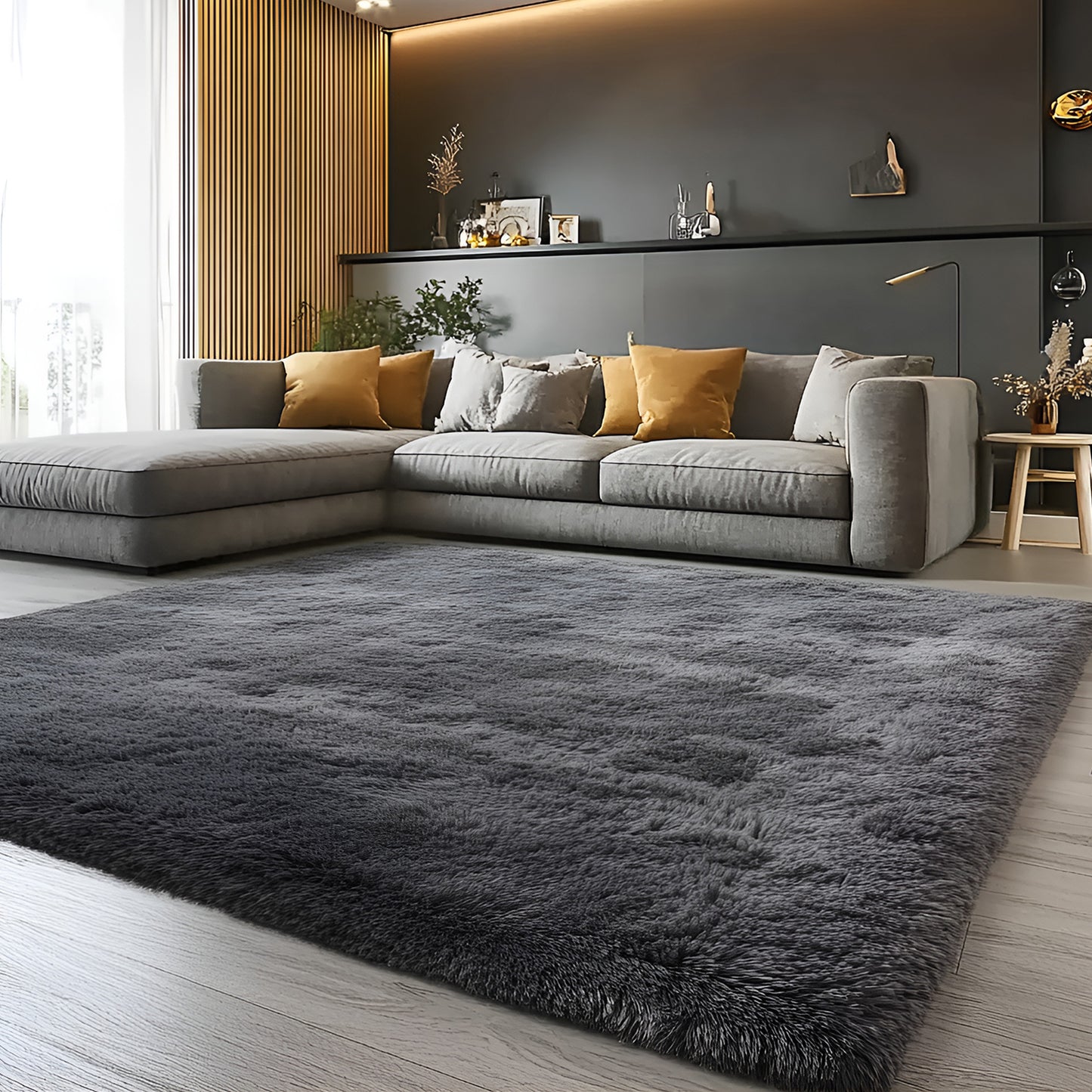 Shaggy Area Rugs, Soft Fluffy Indoor Carpet for Living Room Bedroom Decor