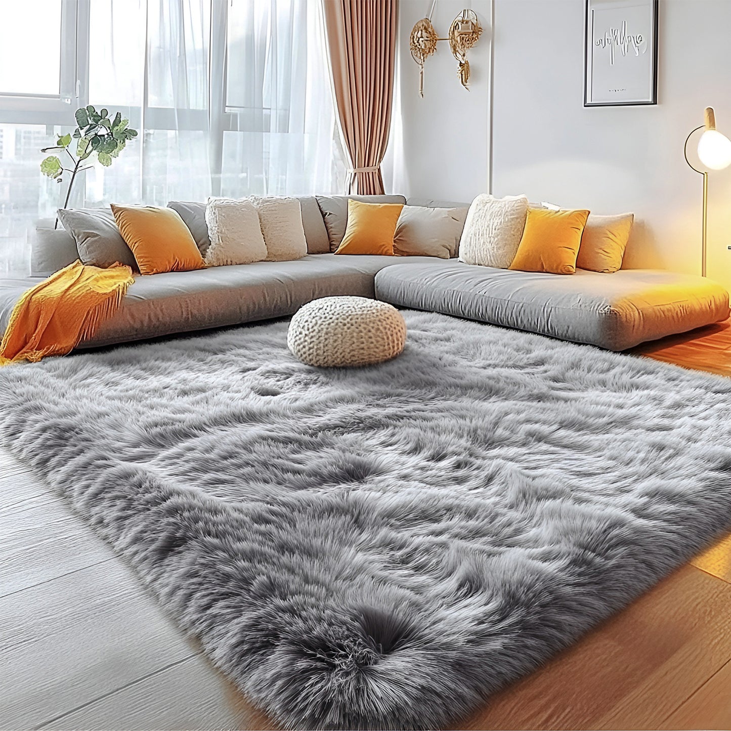 Shaggy Area Rugs, Soft Fluffy Indoor Carpet for Living Room Bedroom Decor