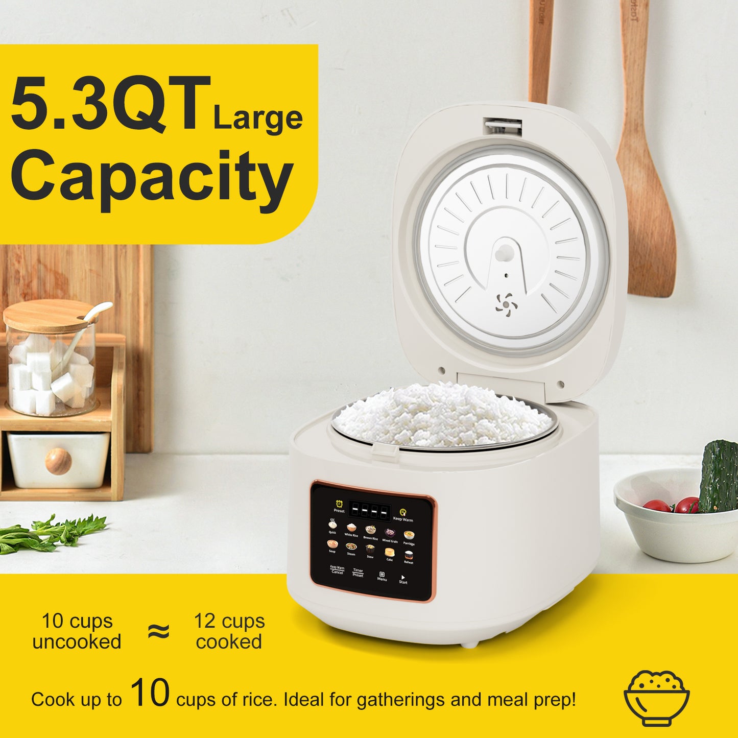 Bluebow Digital Rice Cooker, 10-Cups/5.3QT Rice Maker, 10-in-1 Smart Multi-Cooker, 24-Hour Timer & Keep Warm, Non-Stick Inner Pot, White